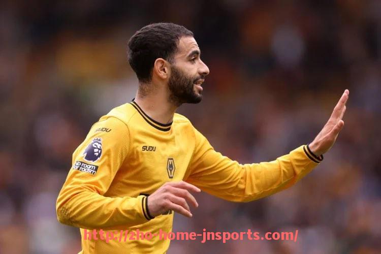 江南综合体育-汉诺威96为何在德甲赛季降级？球队战绩复盘